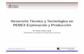 Dr Pedro Silva Lopez-Desarrollo Tecnico y Tecnologico