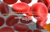 Anemias macrocíticas megaloblásticas y no megaloblásticas