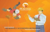 Cartilla Investigacion de Incidentes y Accidentes.pdf