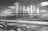 Ing Gas Caracteristicas y Comportamiento de Los Hidrocarburos (2)