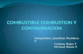 Combustible Combustion y Contaminacion