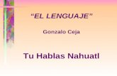 Tu Hablas Nahuatl