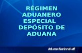 7 Deposito de Aduana