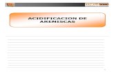 85417026 Acidificacion de Areniscas