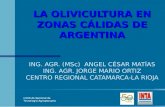 Argentina Presente y Futuro Ortiz Jorge