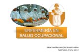 1. enfermeria en_salud_ocupacional_pdf