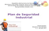 Plan de seguridad industrial wladimir