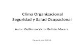 Clima organizacional y seguridad ocupacional