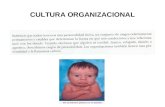 Diseño Organizacional 1.8 cultura organizacional