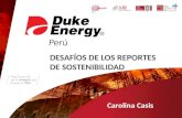Carolina Casis - Duke energy