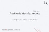 Auditoría de marketing (Raúl Rivera)