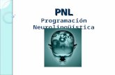 Presentación pnl (97 2003)
