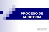 Clase 11. proceso de auditoría