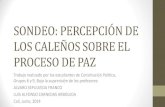 Sondeo: Percepción de los caleños sobre el proceso de paz en Colombia