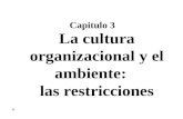 3   La Cultura Organizacional