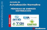 3.Regulación de pérdidas de energía en Colombia