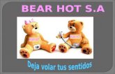 Bear Hot S A