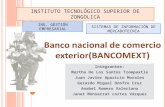 Banco nacional de comercio exterior(BANCOMEXT)