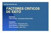 Factores Critico De Exito Para La Pyme Industrial[1]