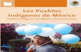 Los Pueblos Indígenas de México