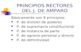 PRINCIPIOS RECTORES DEL JUICIO DE AMPARO