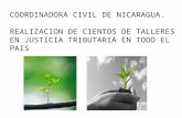 5ª conferência   anderson solis - coordinadora civil de nicaragua