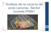 Análisis de la cacería de aves canoras.Sector sureste PN Braulio Carrillo