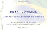 Camara brasil, eraikune 30 03-11