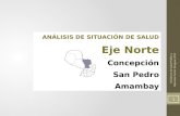 Analisis de Situacion de Salud Paraguay Eje Norte indicadores