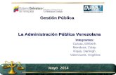 Equipo 1 administracion publica venezolana