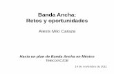 Banda Ancha: Retos y Oportunidades