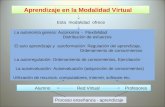 MetodologíA Virtual