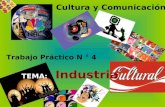 Cultura y comunicacion Trabajo Práctico N° 4