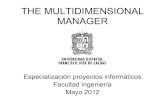 Multidimensional manager
