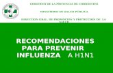 Material educativo Influenza A H1N1