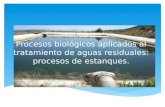 Procesos biológicos aplicados al tratamiento de aguas residuales