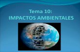 Tema10.Impactos Ambientales