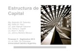 Estructura de capital (intro) Sept 2014
