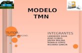 modelo TMN