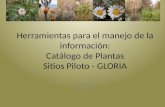 Herramientas para el manejo de la información. Catálogo de plantas - Sitios piloto GLORIA. Silvia Salgado