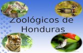 Zoologicos de Honduras