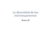 Tema 18 microorganismos