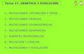 T17genetica y evolucion