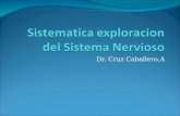 Sistematica Exploracion Del Sistema Nervioso