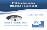 Policía cibernética [Hacking y sus leyes]