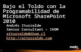 Bajo el Toldo con la Programabilidad de Microsoft SharePoint 2010