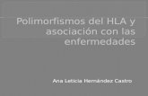 Polimorfismos del HLA y asociación con las enfermedades