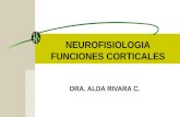 5.funciones corticales  2012