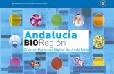 Ponencia andalucia bio region valladolid