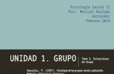 Unidad 1 T3 T4_Estructuras de grupo_Psic Marisol Ballado
